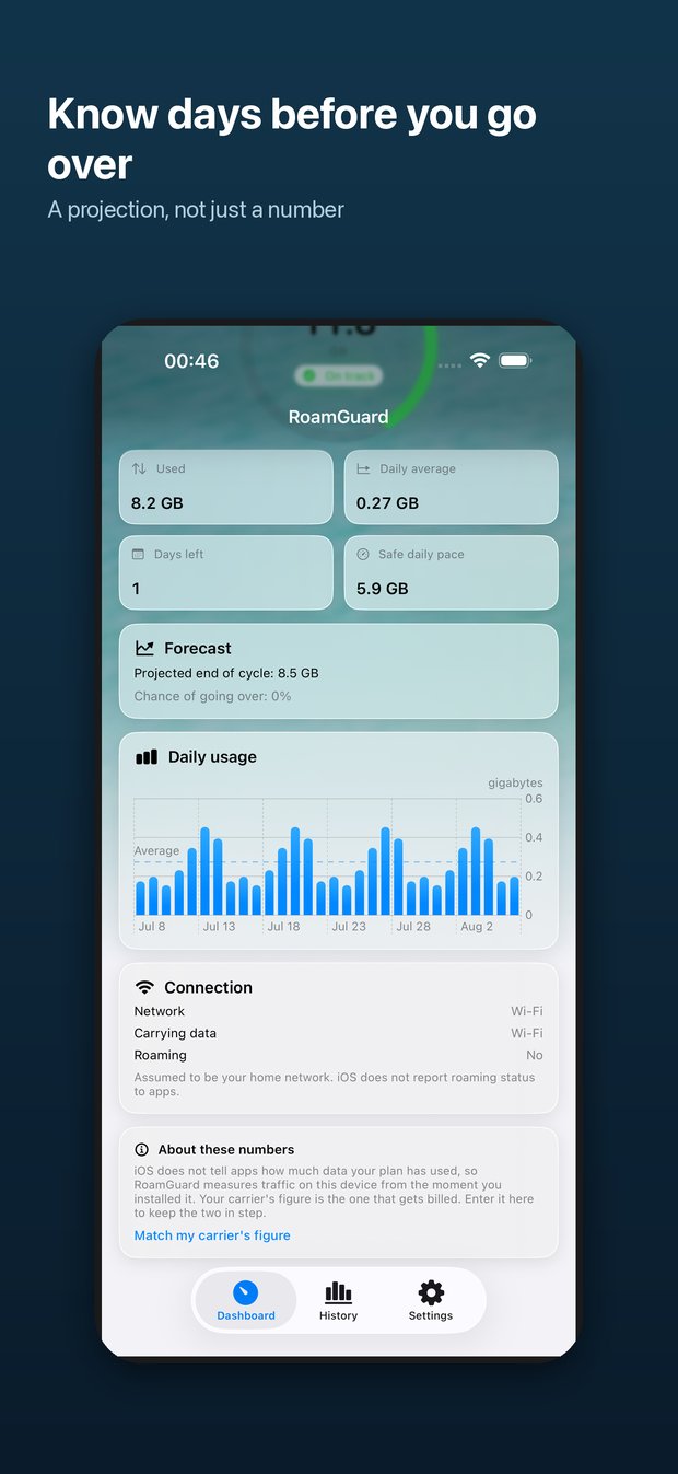 RoamGuard forecast card showing a projected end of cycle, a daily usage chart, the connection card and an About these numbers card.