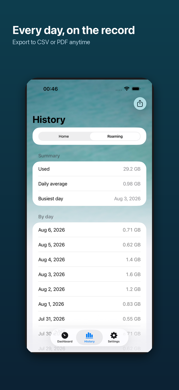 RoamGuard history screen listing daily totals with a summary of used, daily average and busiest day.